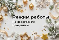 Режим работы в Новогодние праздники 2026г.